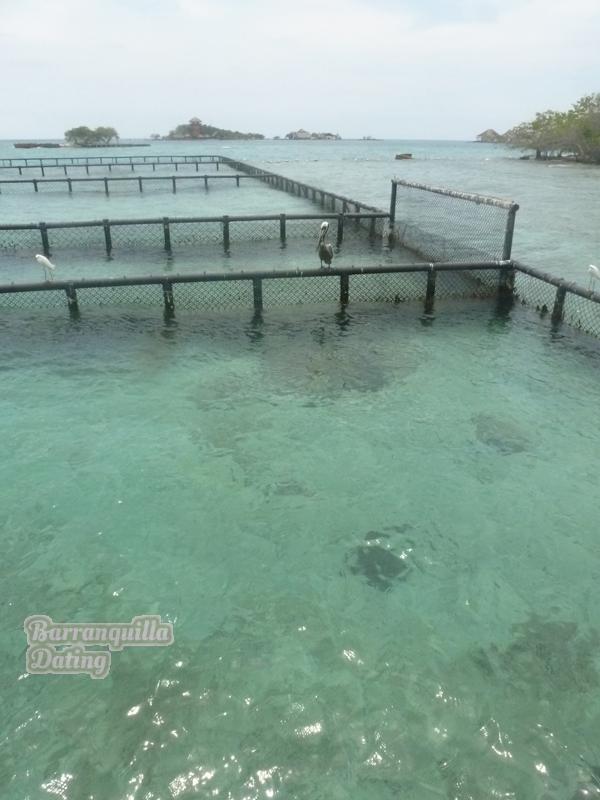 colombian-women-city-tour-46