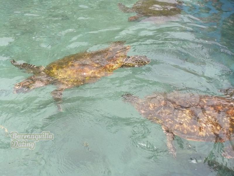 colombian-women-city-tour-50