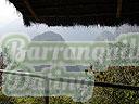 Machu-Picchu-004